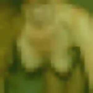 Esther, 23 ans, disponible à Trouville-sur-Mer pour une rencontre coquine