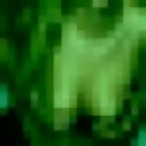 Profil de Afi à Tuchan (37 ans) - plan cul anonyme