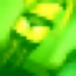 Photo de Evelyne à Vacheresse (31 ans) - plan cul anonyme