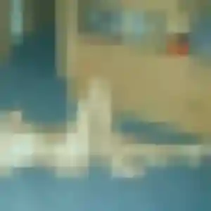 Rosalie (40 ans) à Vains cherche un plan cul rapidement