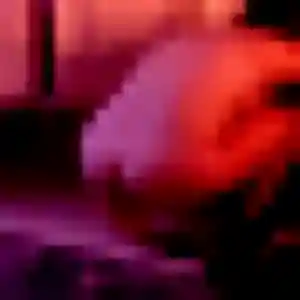 Photo sexy de Sarjo, 44 ans à Vallées-d'Antraigues-Asperjoc - rencontre sans lendemain