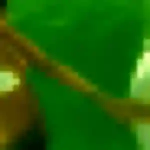 plan cul à Vandrimare : photo de Fatou, 37 ans - accès libre