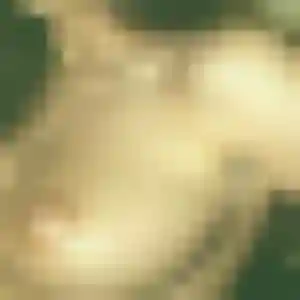 Célestine, femme de 45 ans veut plan cul à Vatteville-la-Rue