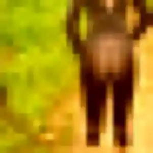 Photo exclusive de Soukeyna, 33 ans à Velars-sur-Ouche - plan discret