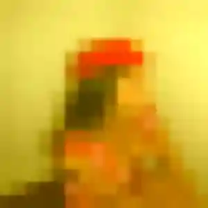 Contacte Lou, 34 ans à Vernosc-lès-Annonay en privé