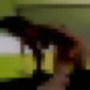 Daba (22 ans) à Verson cherche un plan cul maintenant
