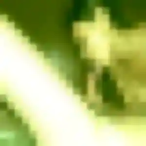 Photo de Amoin à Veurey-Voroize (43 ans) - plan cul anonyme