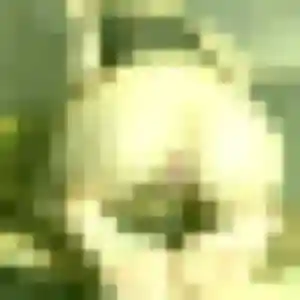 Photo exclusive de Titilayo, 44 ans à Vic-Fezensac - rencontre coquine
