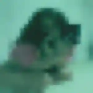 Photo privée de Wambui, 42 ans à Vichy - rencontre coquine