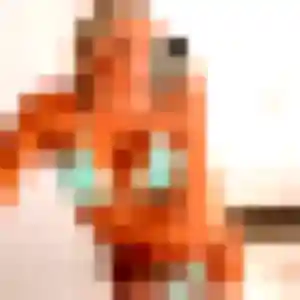 Photo de Nadia à Vicq-sur-Gartempe (35 ans) - plan cul gratuit