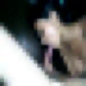 Belle Yasmine, 38 ans à Vidauban - découvrir son profil