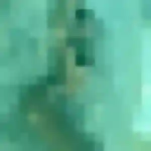 Profil de Quetsia à Vif (44 ans) - plan cul sans inscription