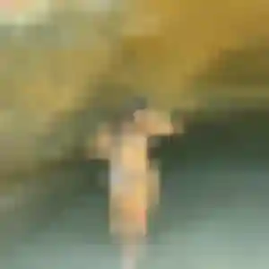 Quetsia (42 ans) à Villeblevin propose une rencontre aujourd'hui