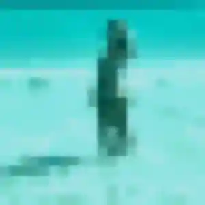 Honorine, 37 ans, connectée à Villebougis pour une rencontre coquine