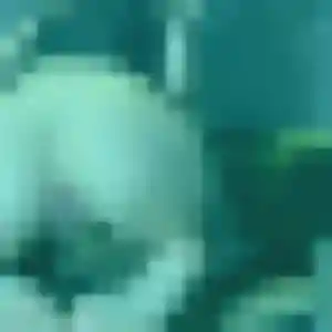 Profil de Zara à Villecerf (33 ans) - plan cul discret