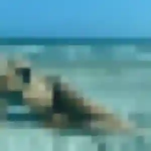 Photo privée de Louisette, 24 ans à Villeloin-Coulangé - plan discret
