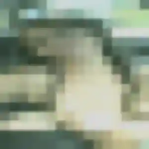 Photo de Adeline à Villemade (23 ans) - plan cul anonyme