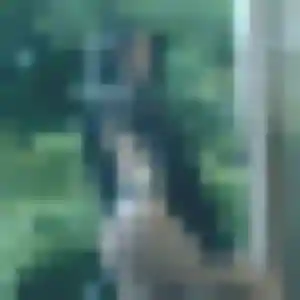 Sexy Célestine, 28 ans à Villers-Bretonneux - voir sa photo
