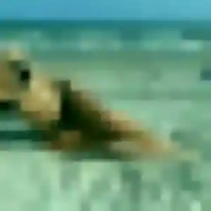 Photo sexy de Upendo, 44 ans à Vins-sur-Caramy - plan discret