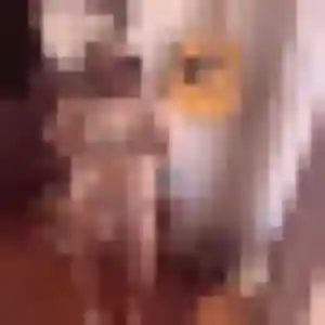 Marina, 33 ans, en ligne à Vireux-Wallerand pour une rencontre coquine