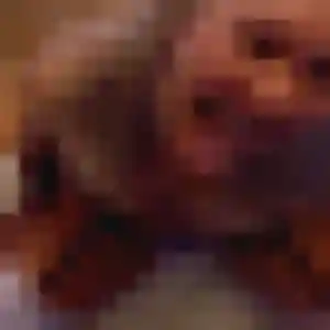Pénélope, femme de 29 ans propose plan cul à Viviers