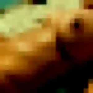 Noémie de Vouneuil-sur-Vienne, 45 ans - plan cul discret