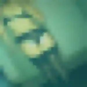 Zineb, 38 ans, dispo pour plan cul à Waldighofen