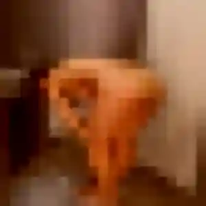 Ablavi, fille de 39 ans cherche plan cul à Wissant