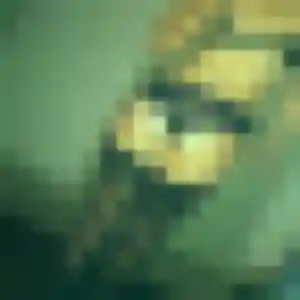 Photo perso de Mariama, 42 ans à Wissous - rencontre coquine