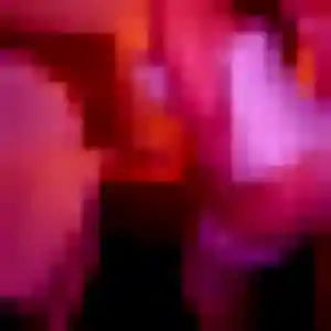 Cindy, 25 ans, dispo pour plan cul à Wolfgantzen