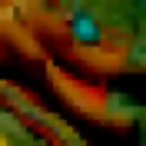 Sandy de Wolfgantzen, 36 ans - plan cul discret