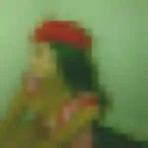 Photo exclusive de Ketty, 33 ans à Zudausques - rencontre coquine